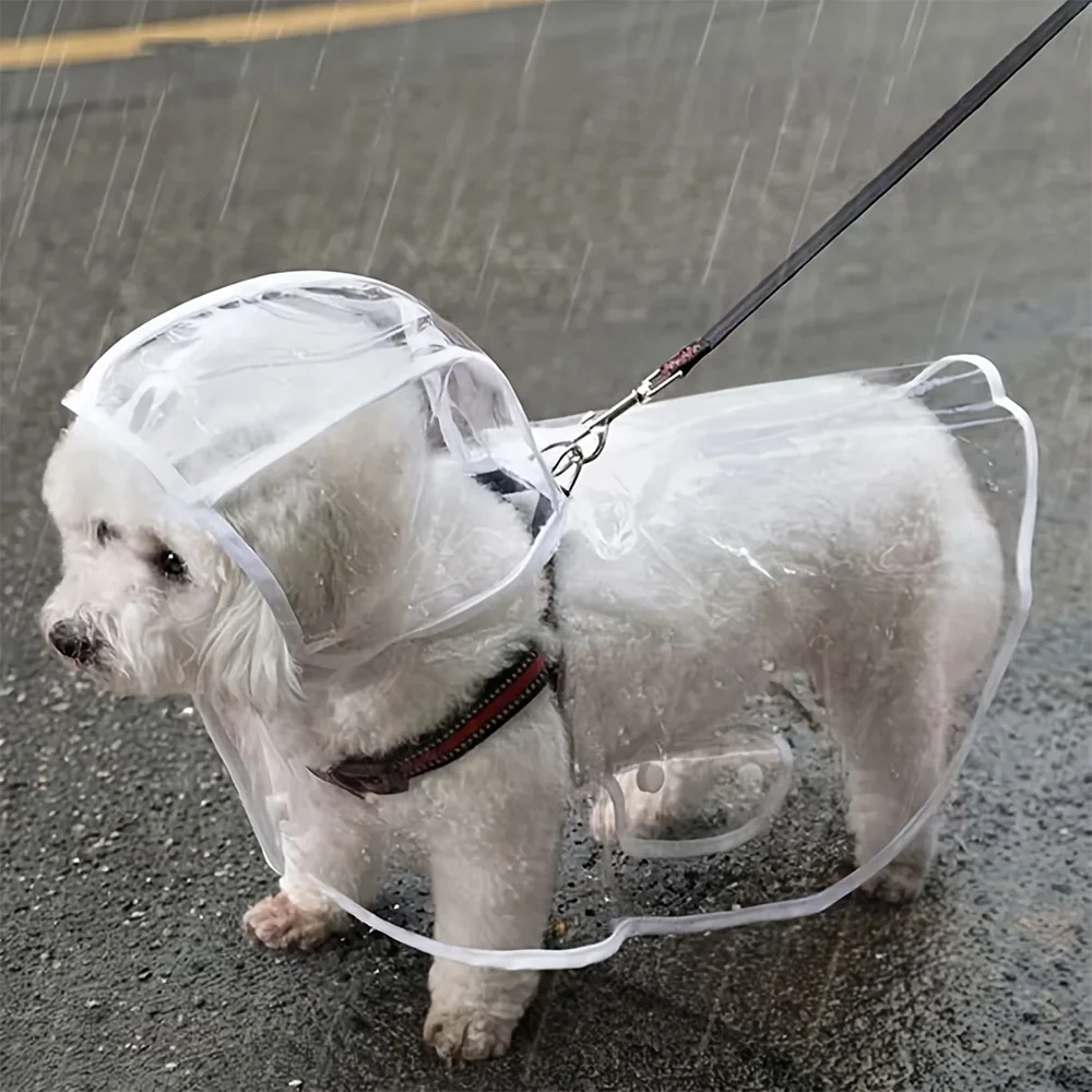 Imperméable Transparent pour Petit Chien