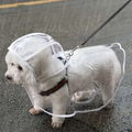 Imperméable Transparent pour Petit Chien