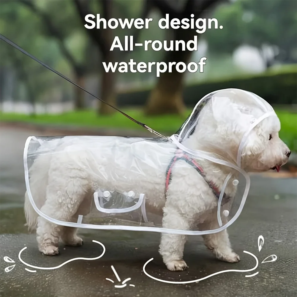 Imperméable Transparent pour Petit Chien