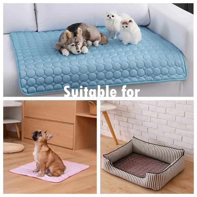 Tapis Rafraîchissant Grand Format pour Chien