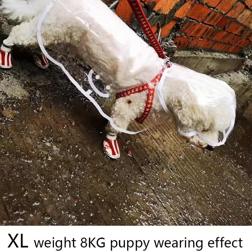 Imperméable Transparent pour Petit Chien