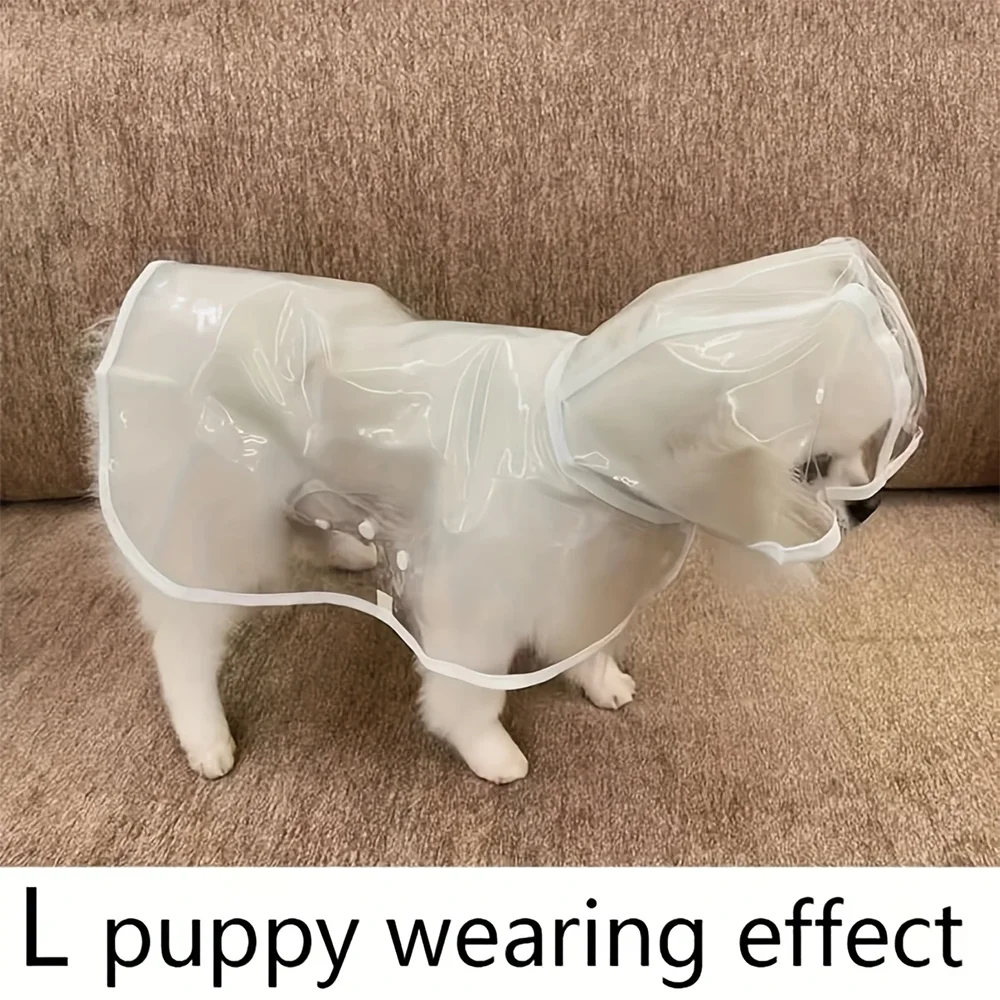Imperméable Transparent pour Petit Chien