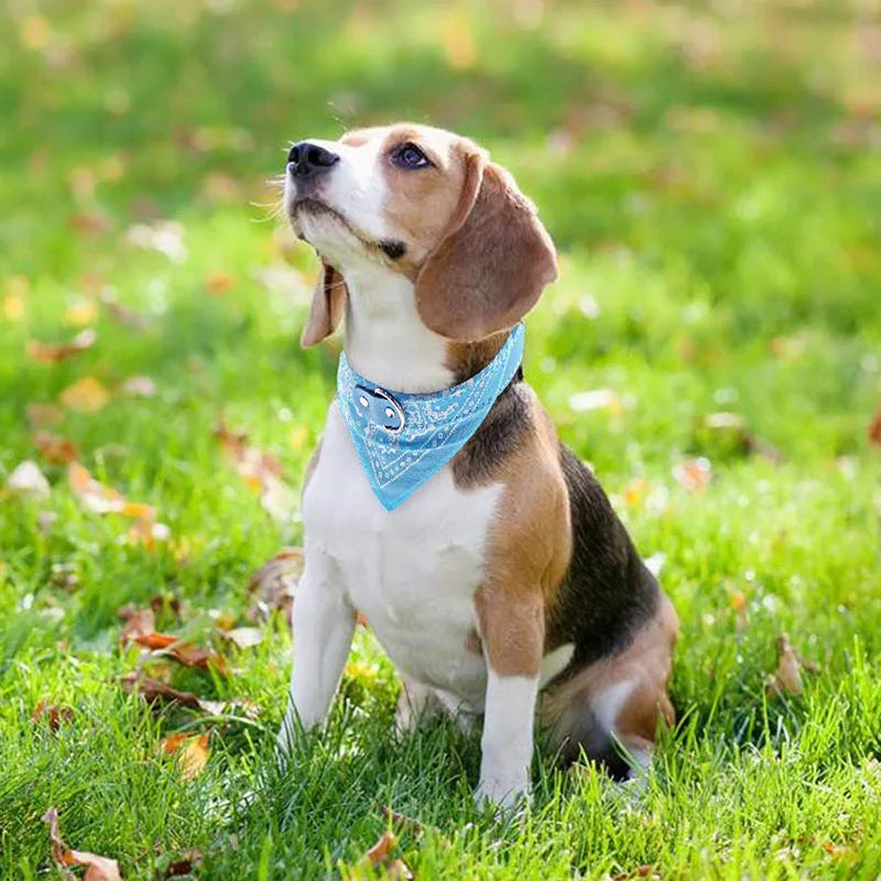 Bandana en Cuir PU Motif Cachemire pour Chien et Chat