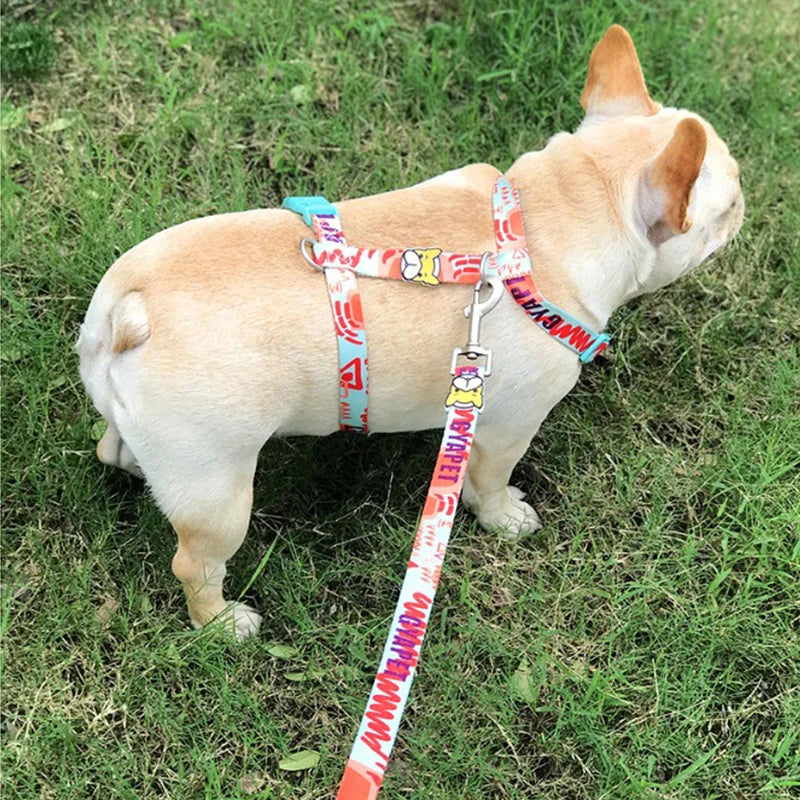 Harnais Réglable Anti-Traction avec Laisse pour Chien