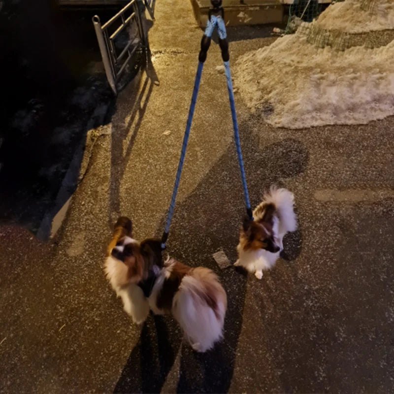 Laisse Double Réfléchissante pour Deux Chiens