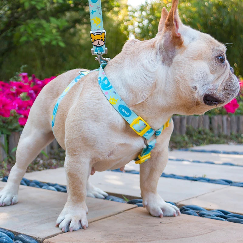 Harnais Réglable Anti-Traction avec Laisse pour Chien