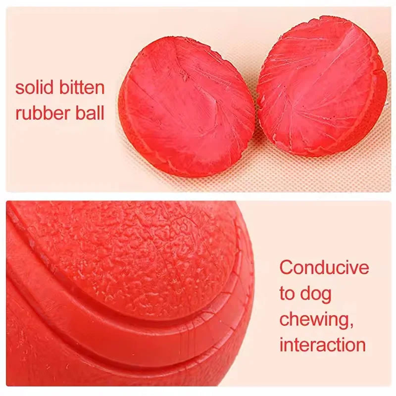Balle Rebondissante Indestructible pour Chien