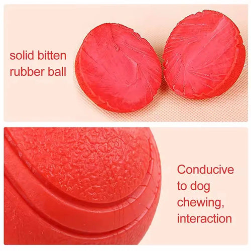 Balle Rebondissante Indestructible pour Chien