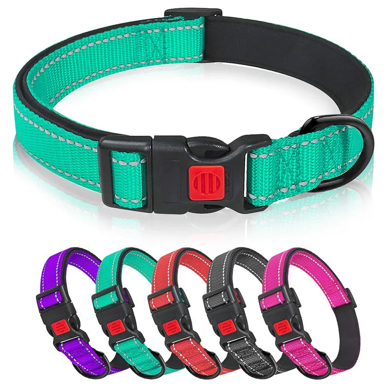 Collier Réfléchissant Néoprène pour Chien