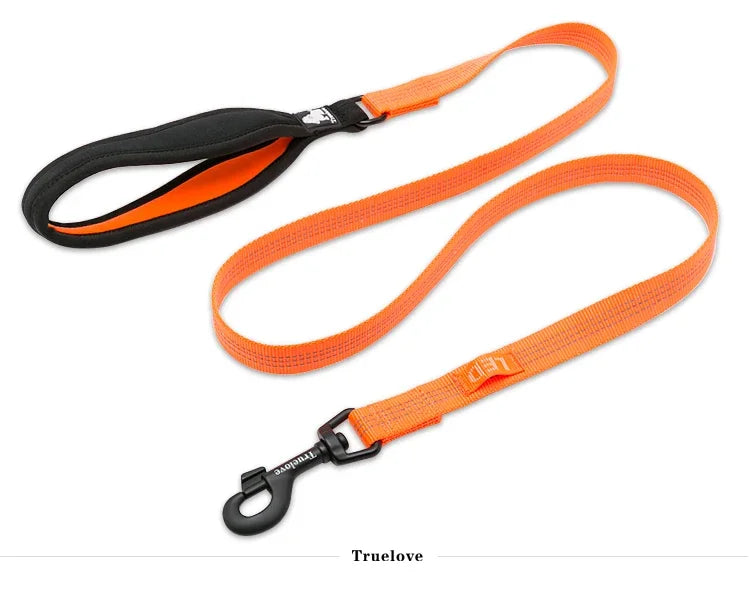 Laisse Réfléchissante Nylon Renforcée pour Chien