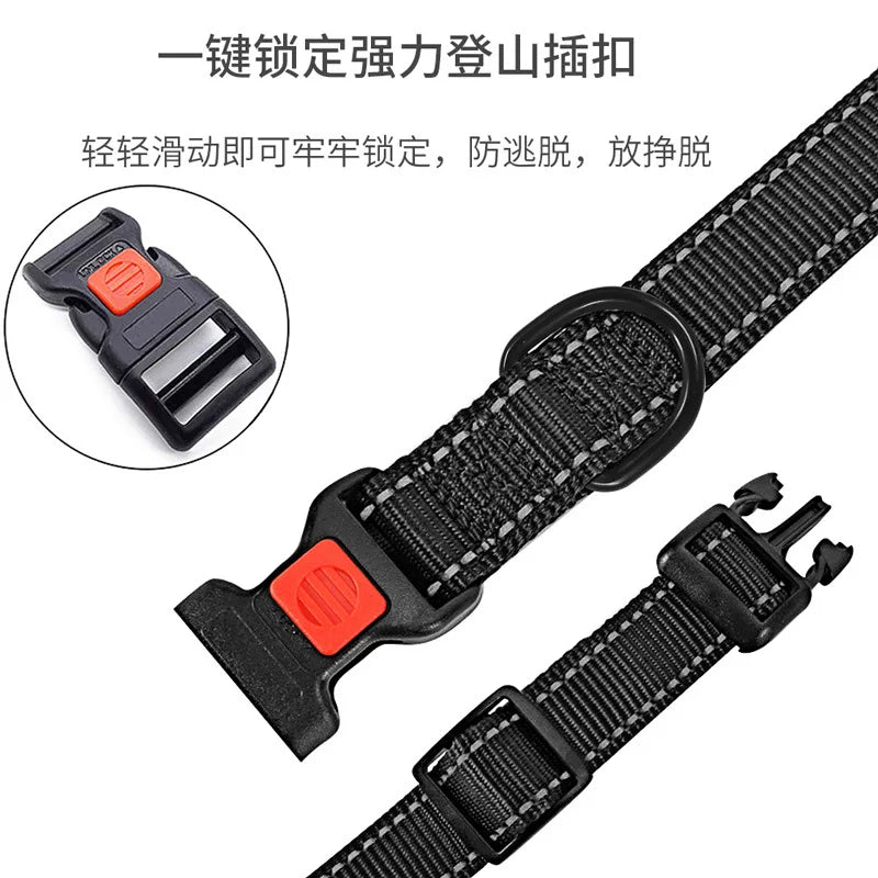 Collier Réfléchissant Néoprène pour Chien