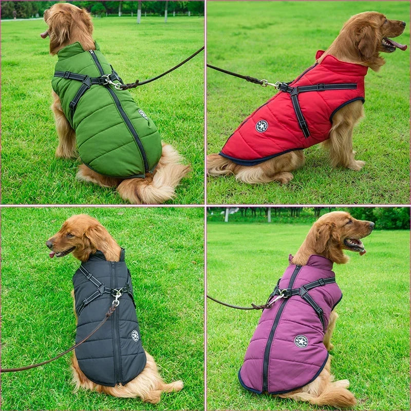 Manteau d'Hiver Imperméable pour Chien