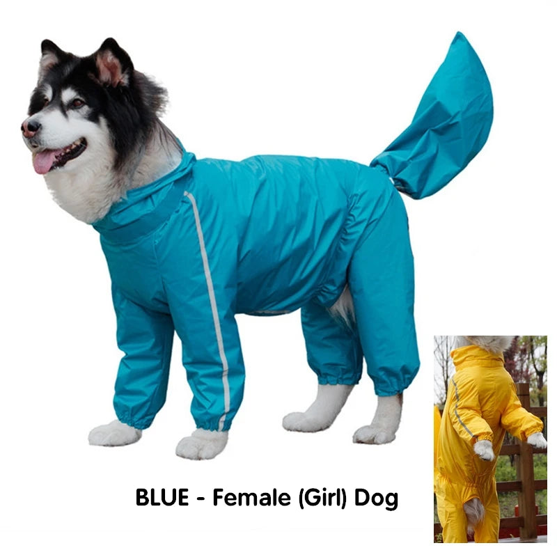 Imperméable pour Chien - Manteau de Pluie à Capuche