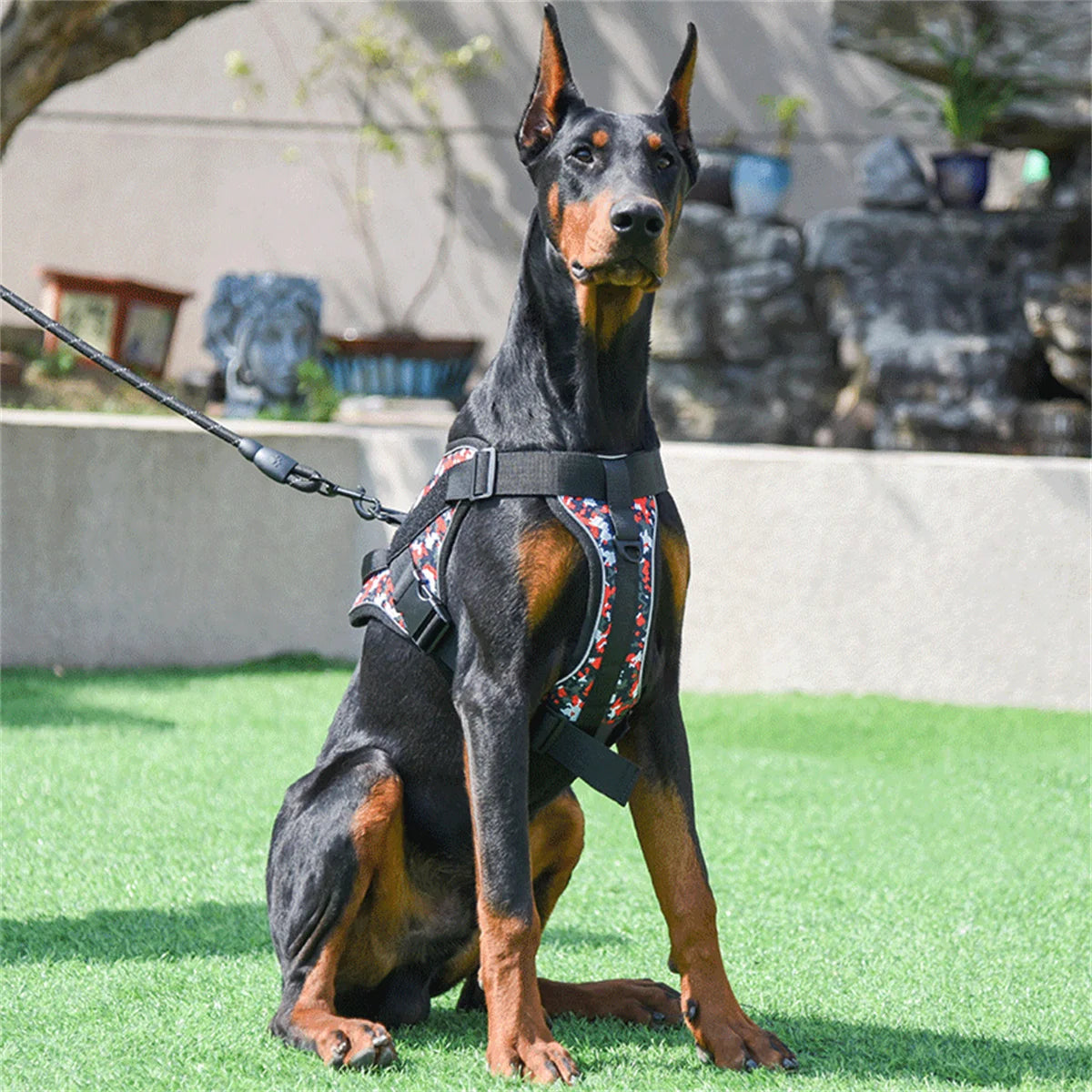 Harnais Réfléchissant Confort pour Chien