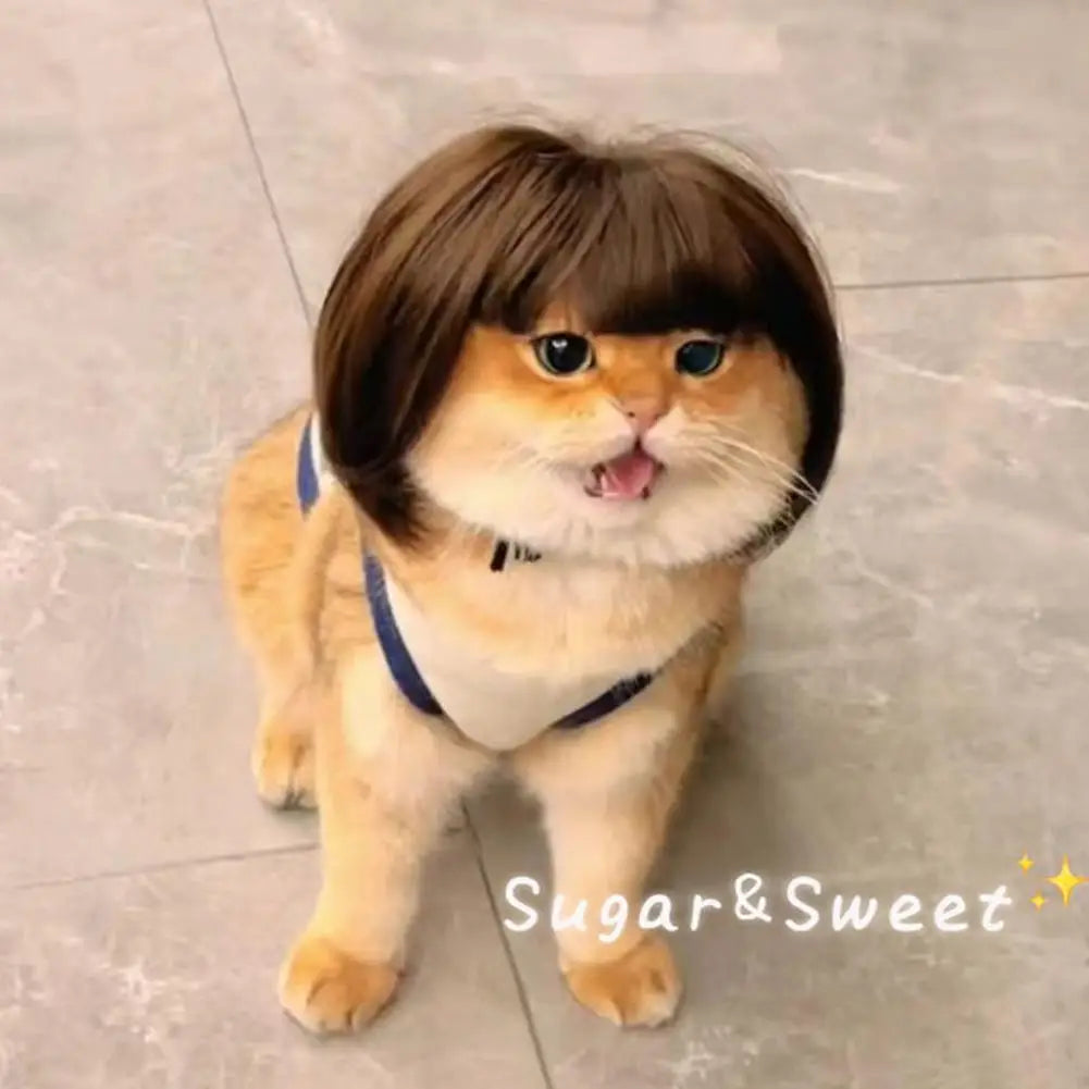 Perruque Déguisement Cosplay pour Chien et Chat