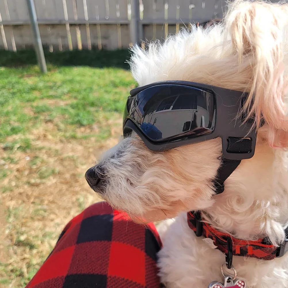 Lunettes de Protection UV pour Chien et Chat - Anti-UV Réglables