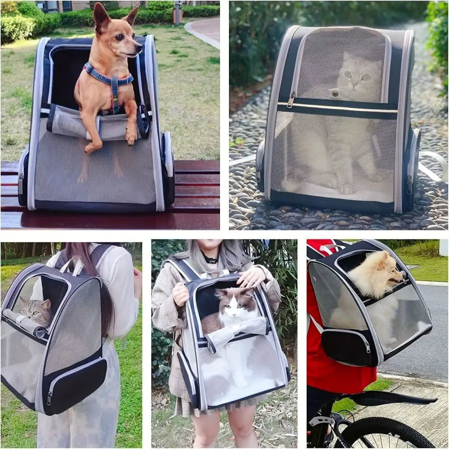 Sac à Dos Bulle pour Chien et Chat