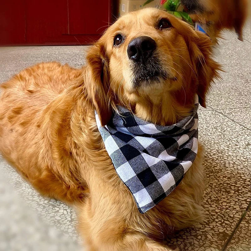 Bandana à Carreaux avec Nœud pour Chien