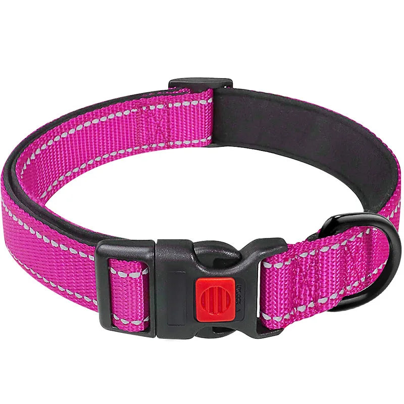 Collier Réfléchissant Néoprène pour Chien