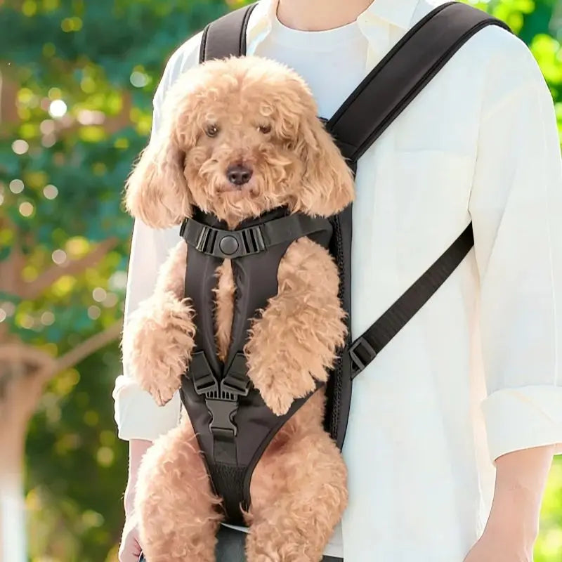 Sac à Dos de Transport Rembourré pour Chien et Chat