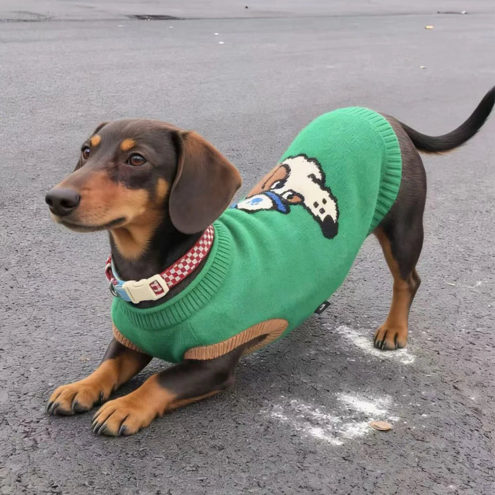 Pull Tricoté pour Chien - Teckel &amp; Petites Races