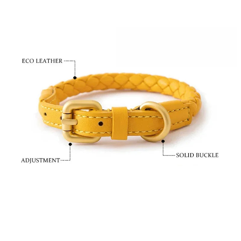 Collier en Cuir Fashion pour Chien Moyen