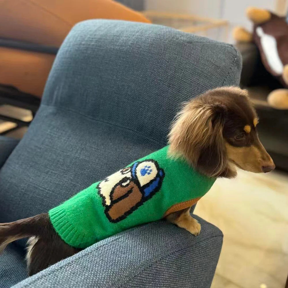 Pull Tricoté pour Chien - Teckel &amp; Petites Races