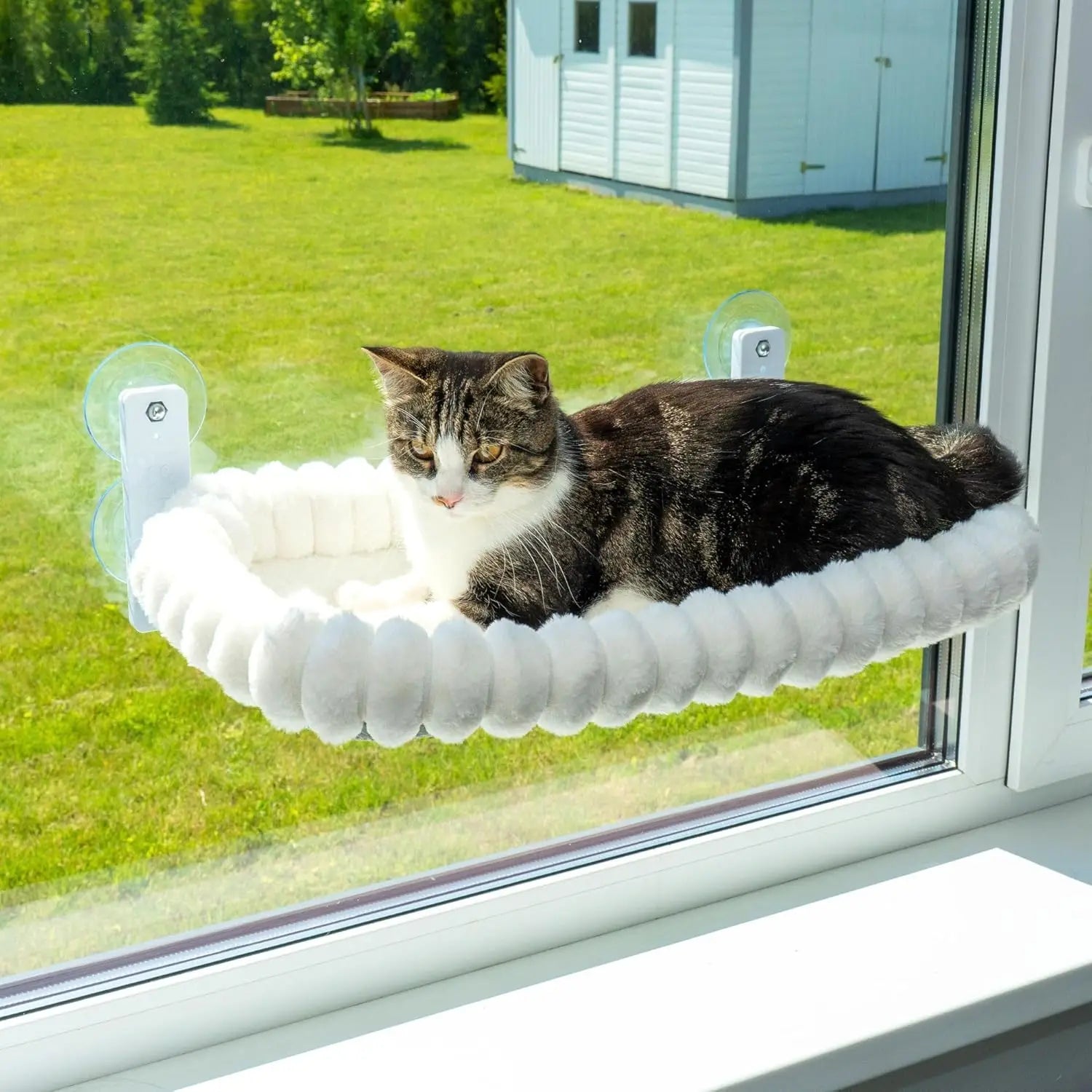Hamac de Fenêtre Hiver pour Chat - Suspendu par Ventouse