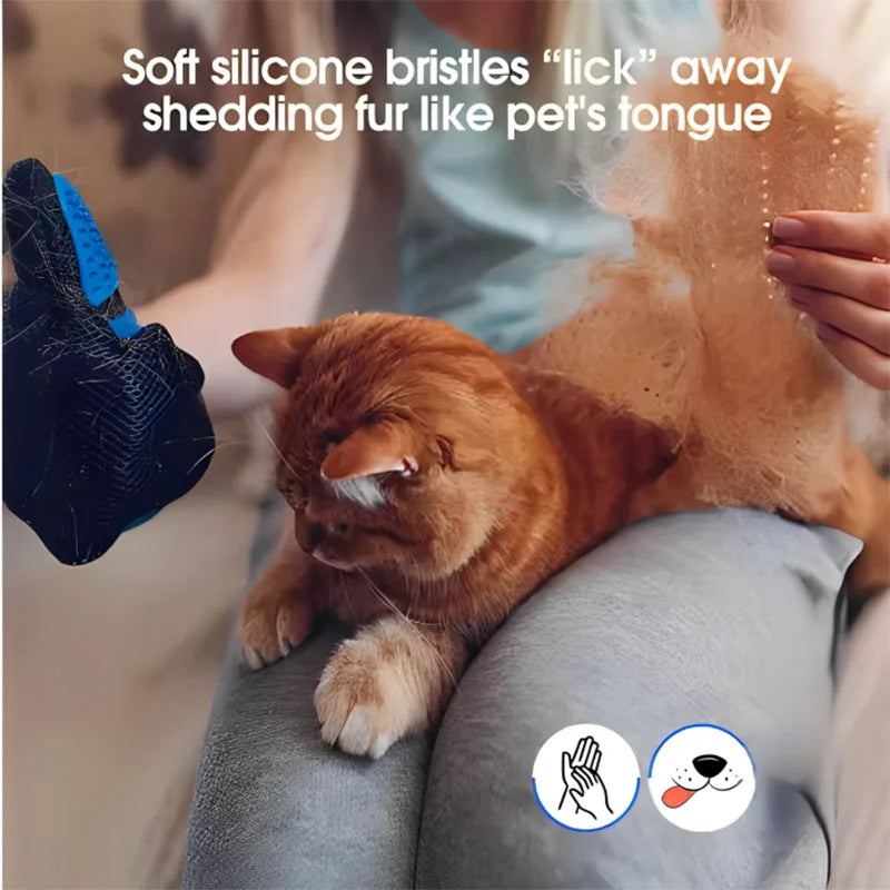 Gant de Toilettage Anti-Poils pour Chien et Chat - Grand Choix de Couleurs