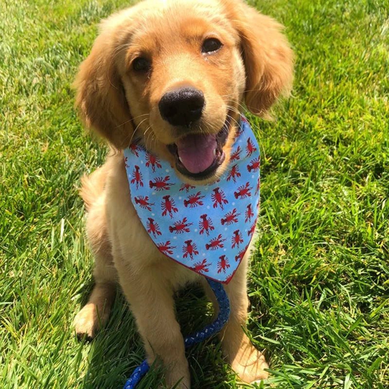 Bandana Triangulaire Été pour Chien