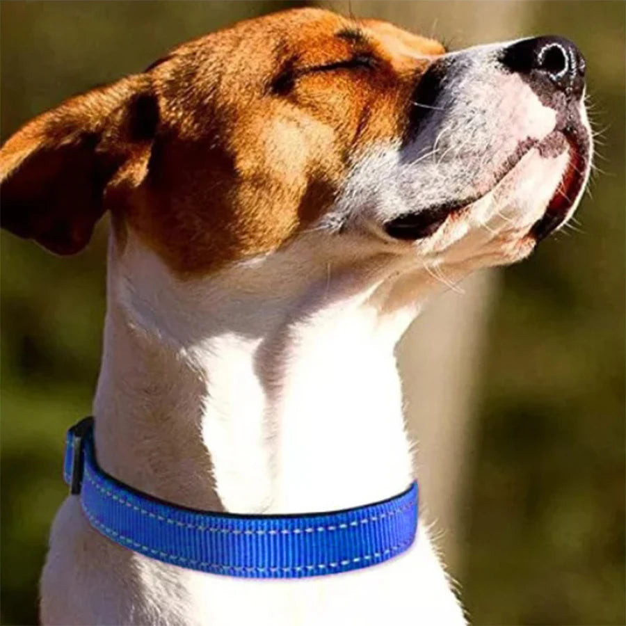 Collier Réfléchissant Rembourré pour Chien
