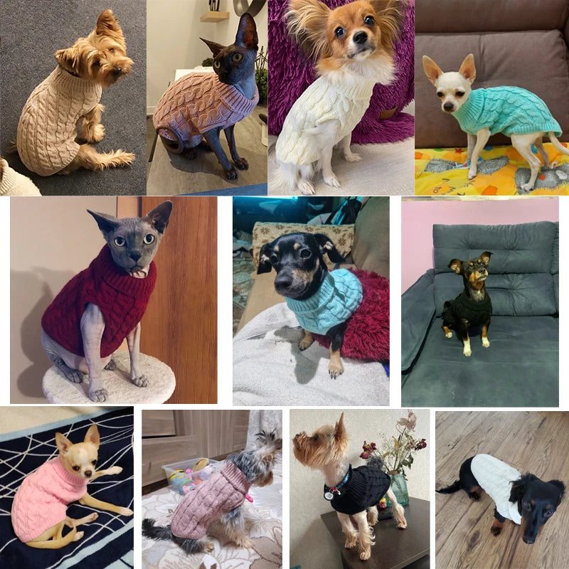 Pull Torsadé Chaud pour Petit Chien