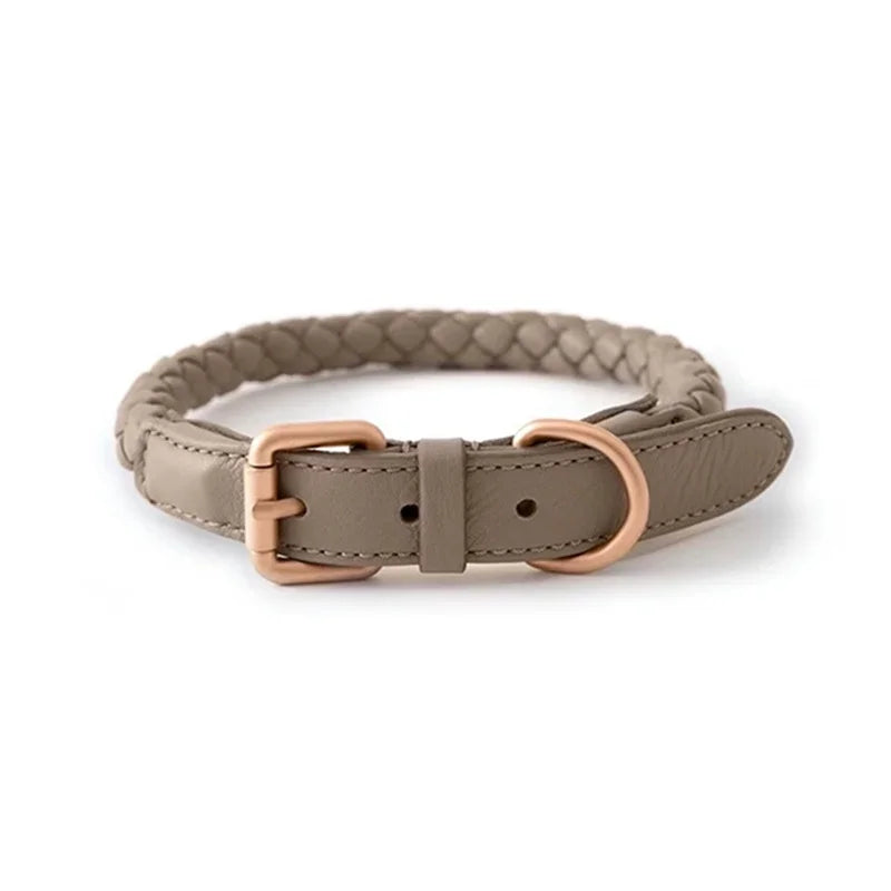 Collier en Cuir Fashion pour Chien Moyen