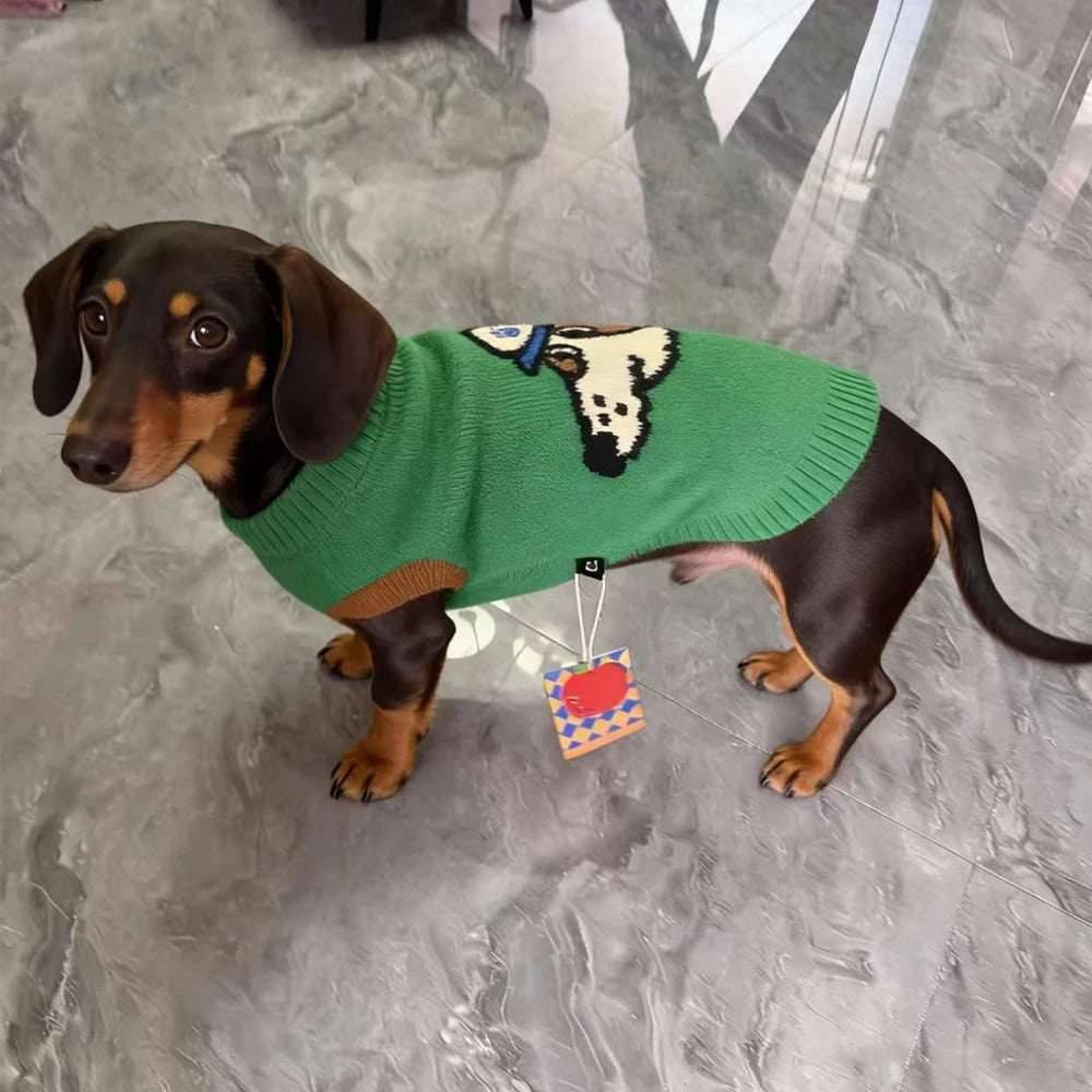 Pull Tricoté pour Chien - Teckel &amp; Petites Races