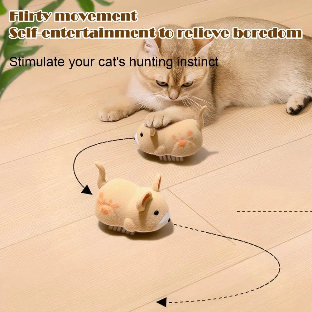 Souris Vibrante Automatique pour Chat