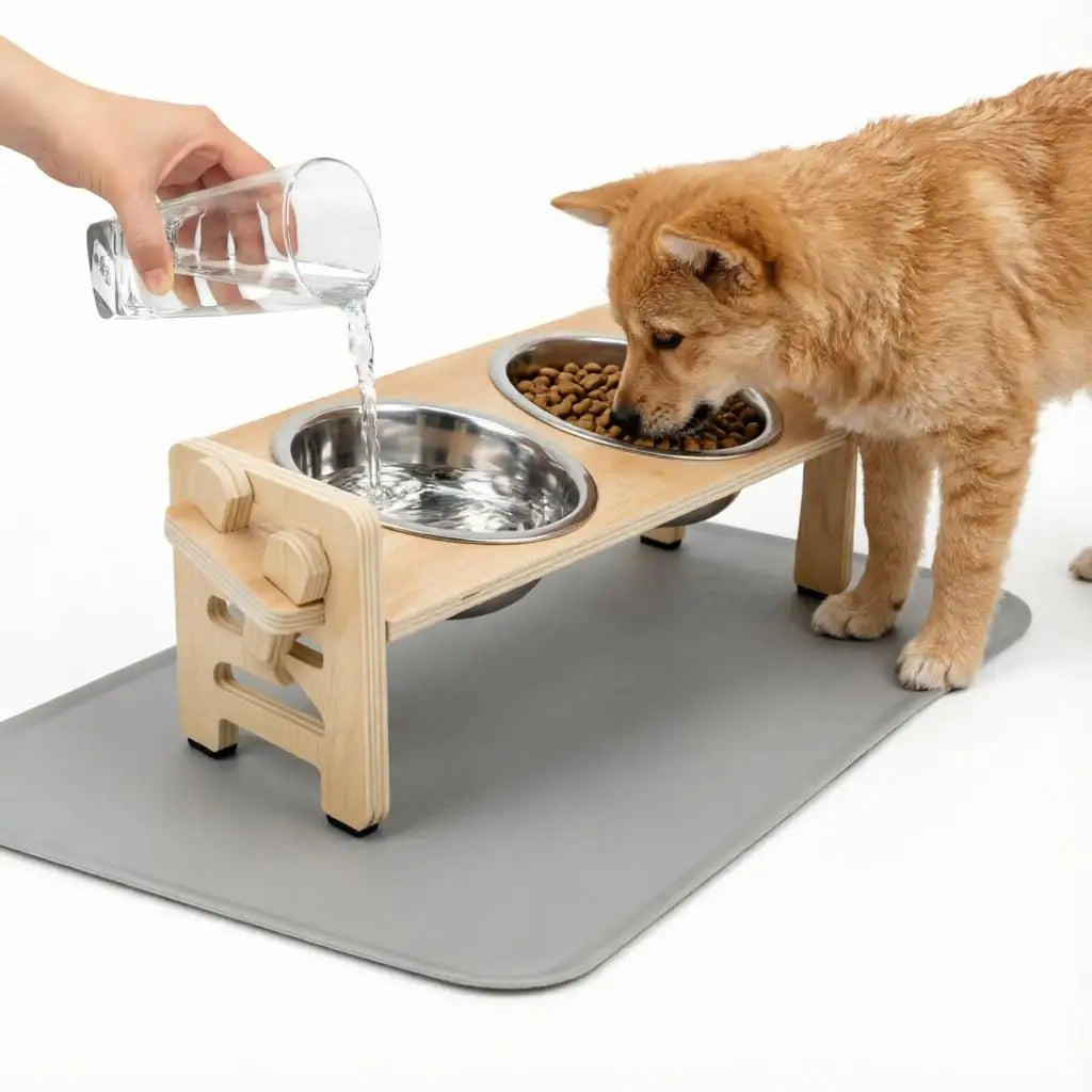 Gamelles Surélevées Inclinées pour Chien
