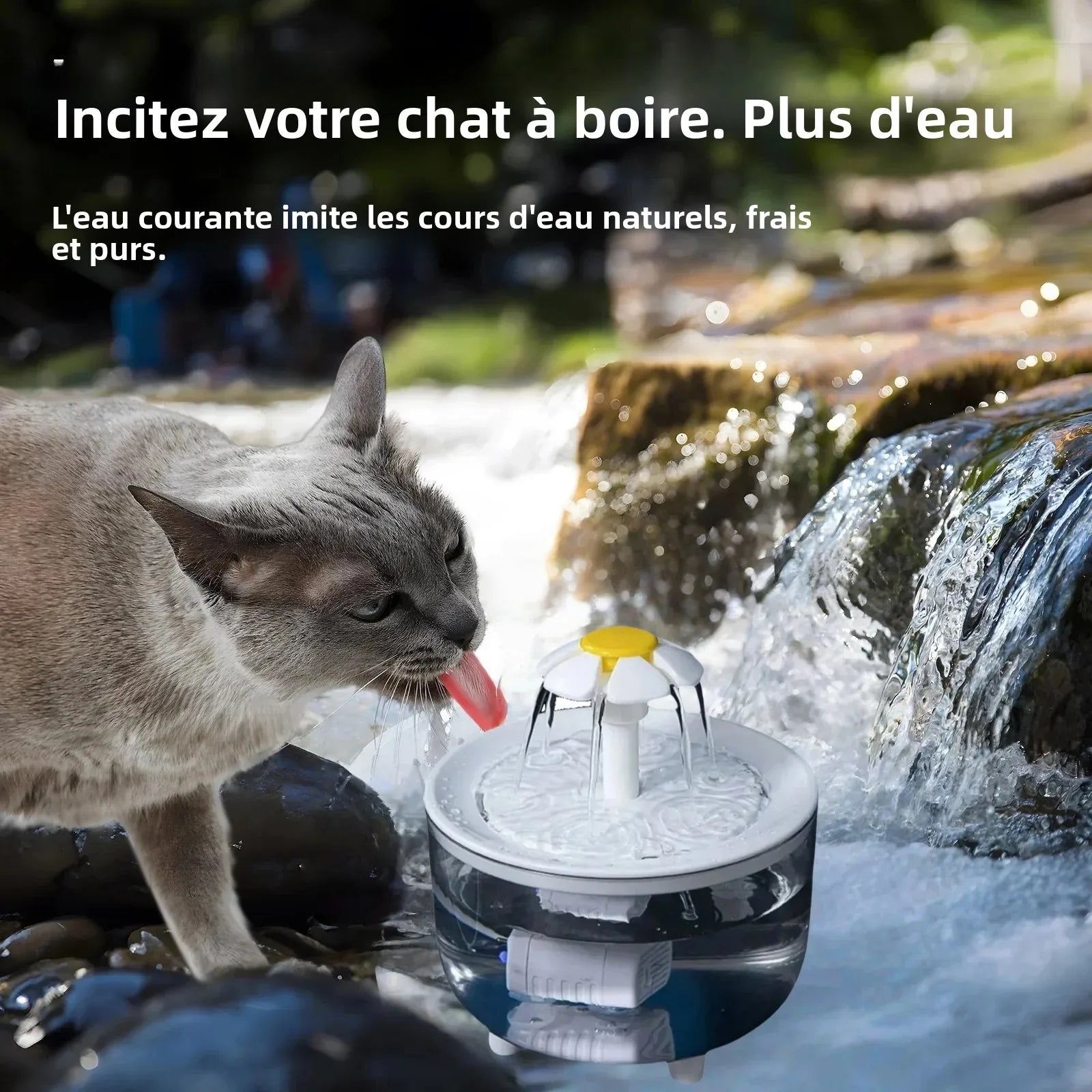 Fontaine à Eau pour Chat - 4 Filtres, 1,2L