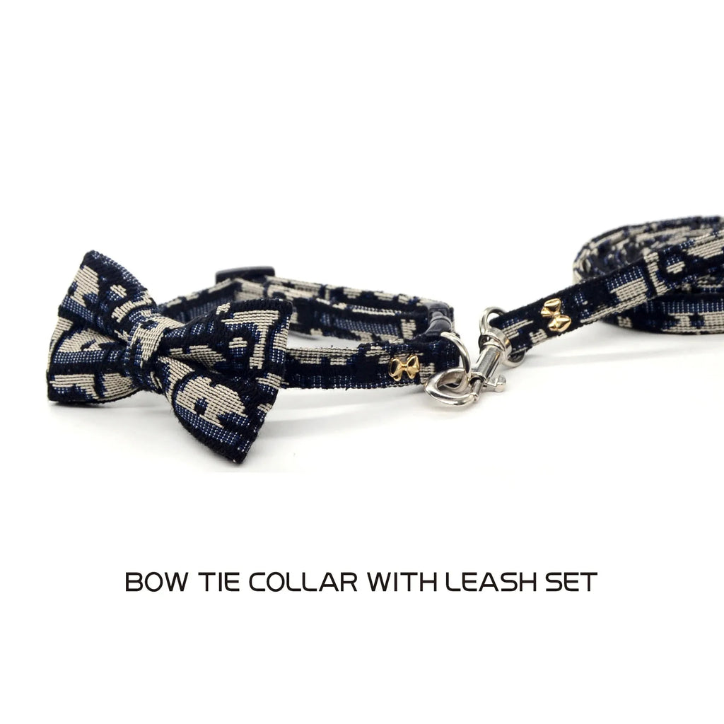 Collier Détachable et Laisse pour Chat et Chien