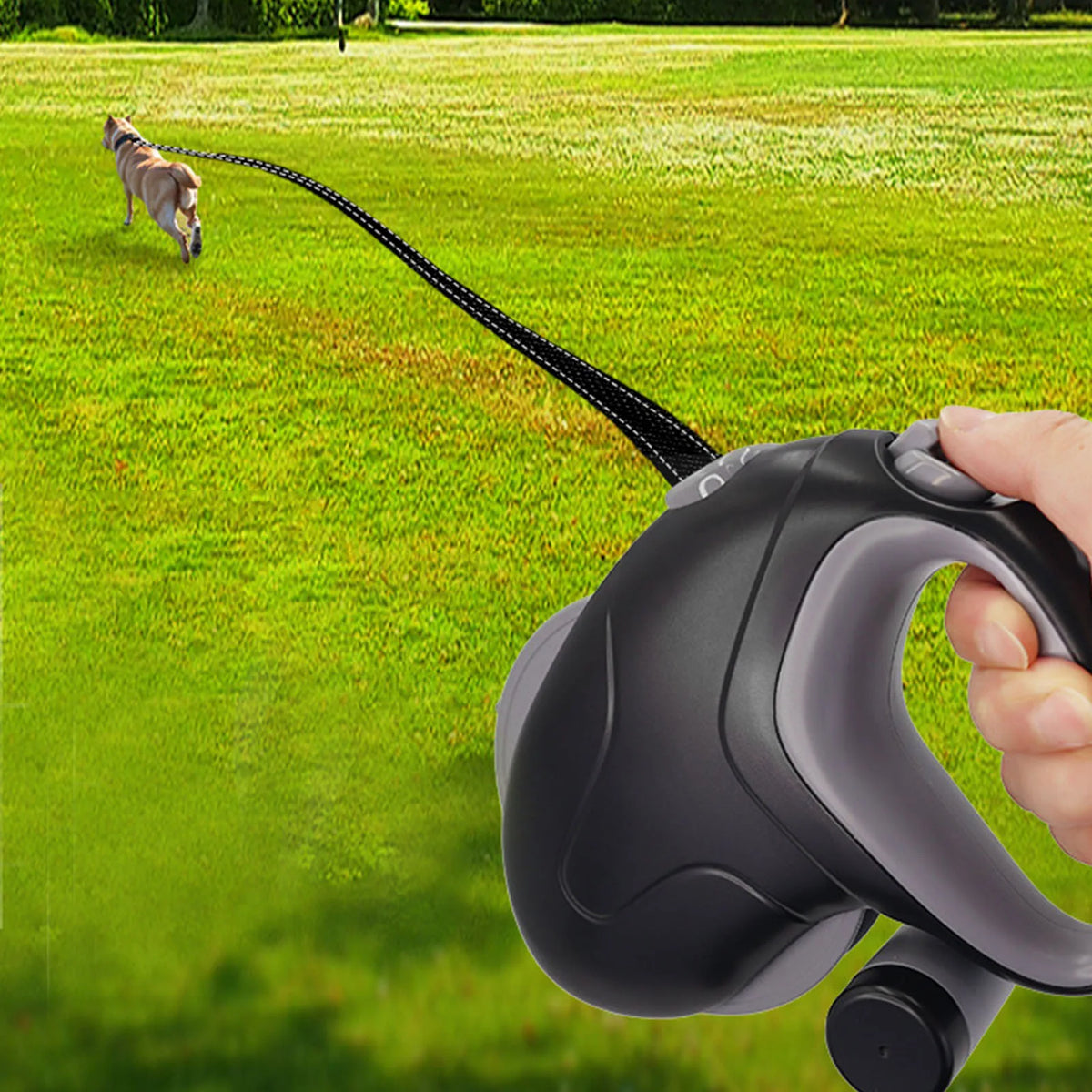Laisse Rétractable 10m avec Distributeur de Sacs pour Chien