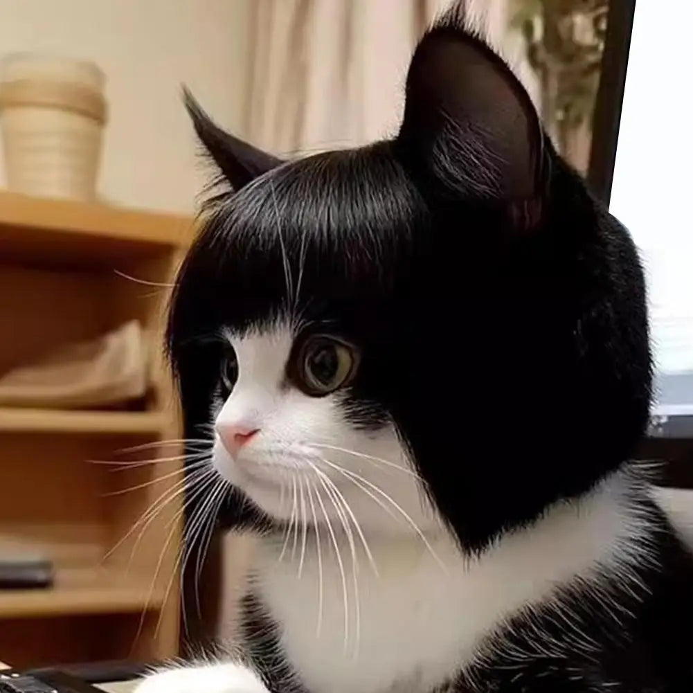 Perruque Déguisement Cosplay pour Chien et Chat