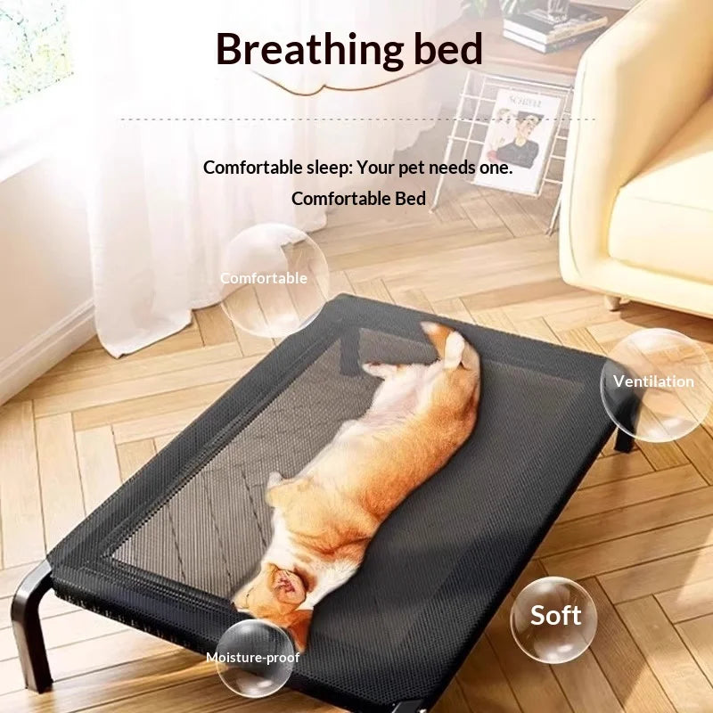 Lit Surélevé pour Chien - Usage Extérieur Toutes Saisons
