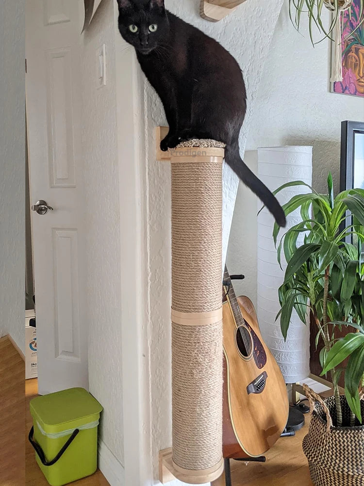 Griffoir Mural en Bois pour Chat - Arbre à Chat Multi-Fonctions
