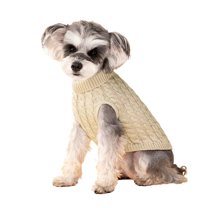Pull Torsadé Chaud pour Petit Chien