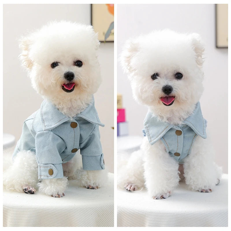 Veste en Jean Harnais Intégré pour Chien