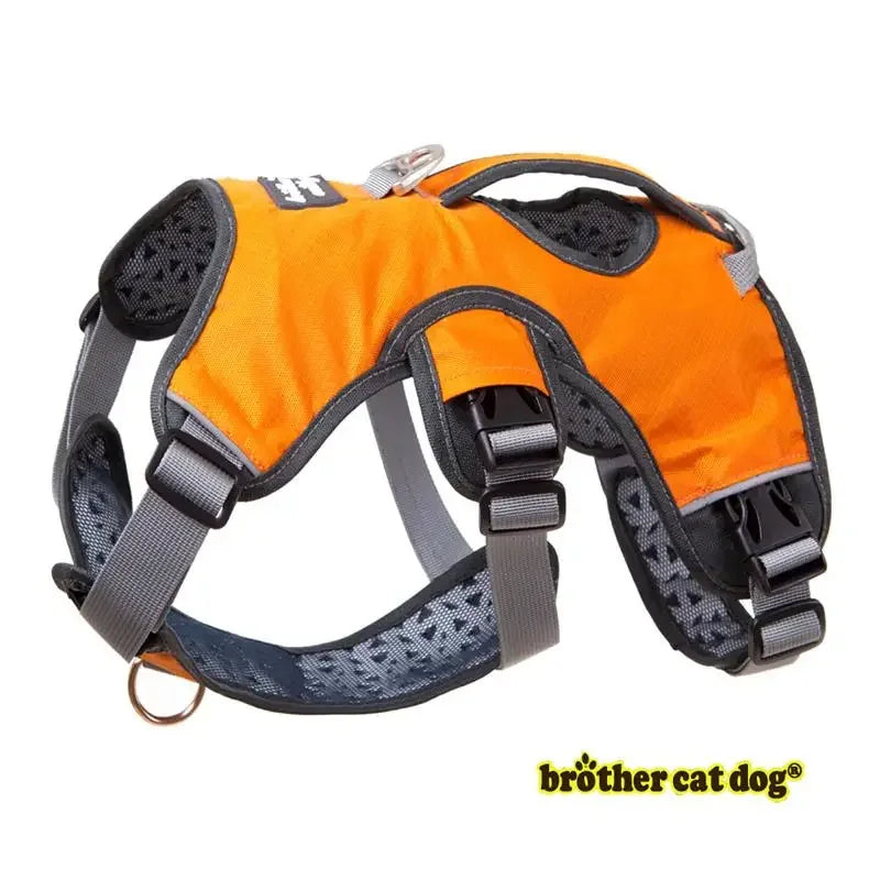 Harnais Gilet de Promenade Renforcé pour Grand Chien - Réfléchissant Rembourré