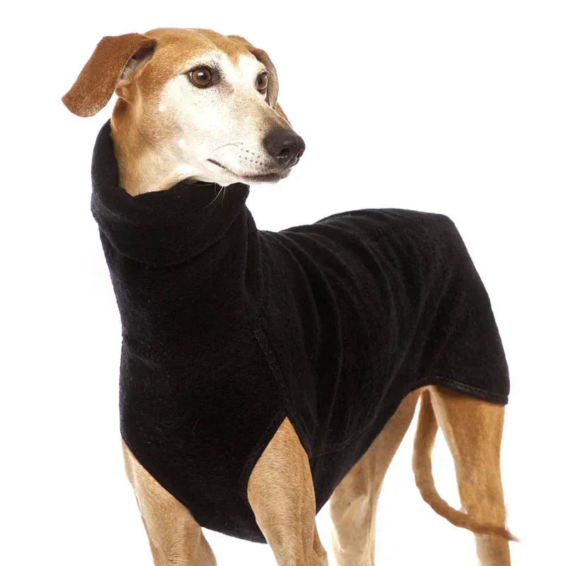Pull Col Roulé Chaud pour Chien