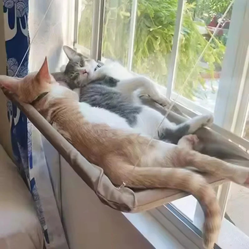 Hamac de Fenêtre pour Chat - Ventouses Puissantes