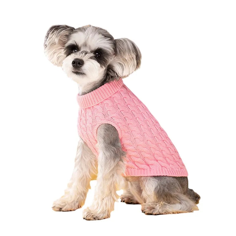 Pull Torsadé Chaud pour Petit Chien