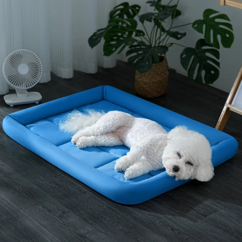 Coussin Confort Toutes Saisons pour Chien