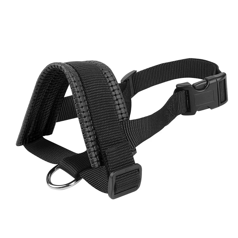 Muselière Ajustable Rembourrée pour Chien